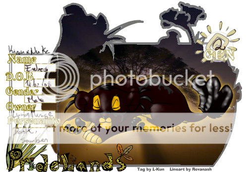 User Image